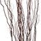 Brown Natural Decorative Dry Branches Authentic Willow Birch Sticks for Home Decoration and Wedding Craft